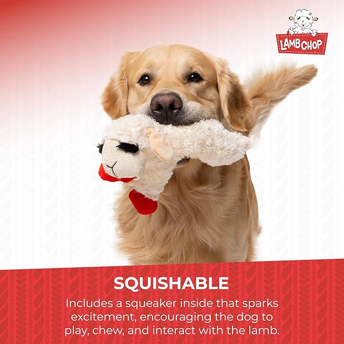 Multipet Lamb Chop Dog Plush Toy - Squeaky Toy for Small & Medium Dogs - Extra Soft Plush - Stuffed Animal for Cuddling & Playing (10",Cream,5 Squeakers),(Pack of 3)