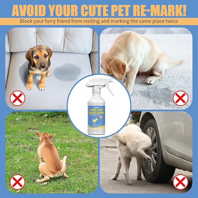 16 Oz Gentle and Effective Pet Behavior Aid | Pet-Friendly Spray to Curb Dog Urine Behavior | Quality Dog Not Here Pee for Your Pet Training | Keep Your Dog from Peeing Indoors and Outdoors