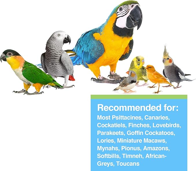 Hari Prime Parrot Vitamin, Mineral and Amino Acid Supplement for Seed Eating Birds, 11.3oz