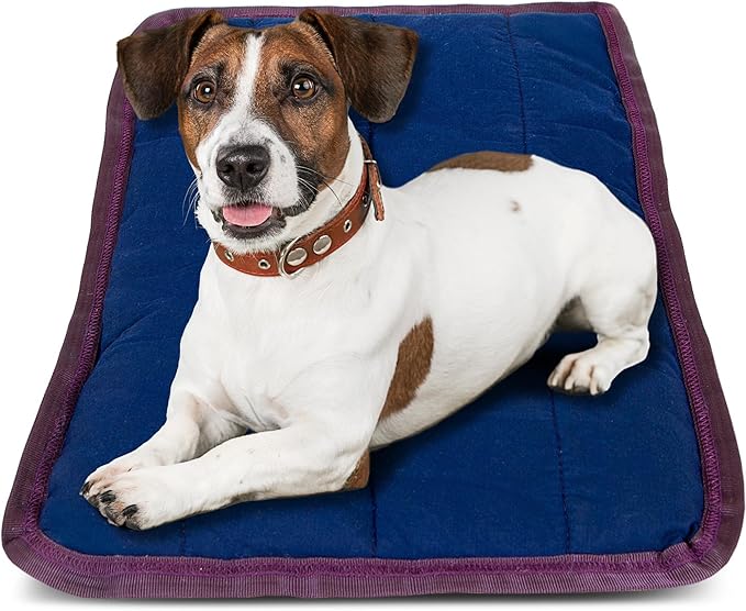 Jeffers Pet Comfort Dog Pillow, 2 XL 39"x51", Navy Blue – Machine Washable Dog Bed for House, Sofa, Crate & Travel – Poly Cotton Shell, Winter Warmth, Soft, Comfy, Durable, Top Pet Bedding