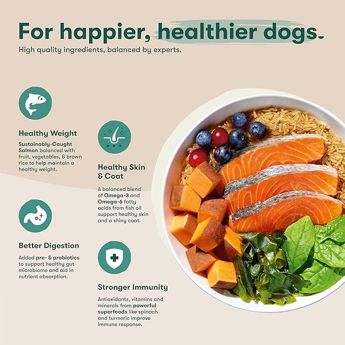 Jinx Premium Dry Dog Food, for All Lifestages - Real Salmon, Brown Rice & Sweet Potato Kibble with Superfoods for Immune Support & Probiotics for Digestive Support - No Fillers - 30lb