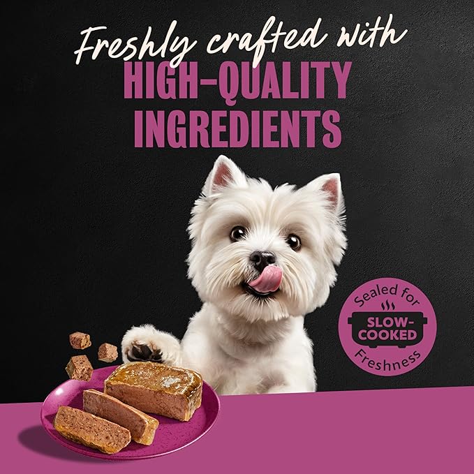Cesar Classic Loaf in Sauce Adult Wet Dog Food Porterhouse Steak Flavor 3.5 oz. Easy Peel Trays, 24 Count (Pack of 1)