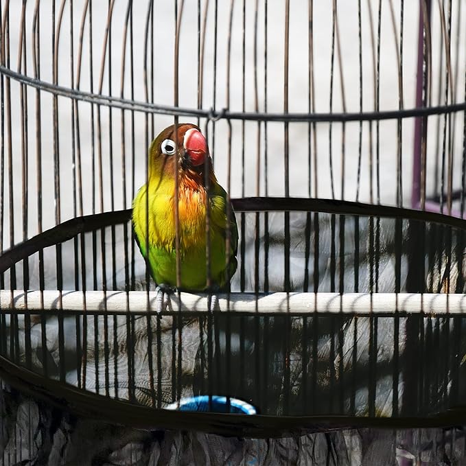 SIMENA Bird Cage Seed Catcher, Skirt for Bird Cage, Nylon Mesh Bird Cage Liners for Large Cages, Elastic and Easy Cleaning Bird Cage Cover, Suitable for Most Cage Shapes (Black 59-79 inch)