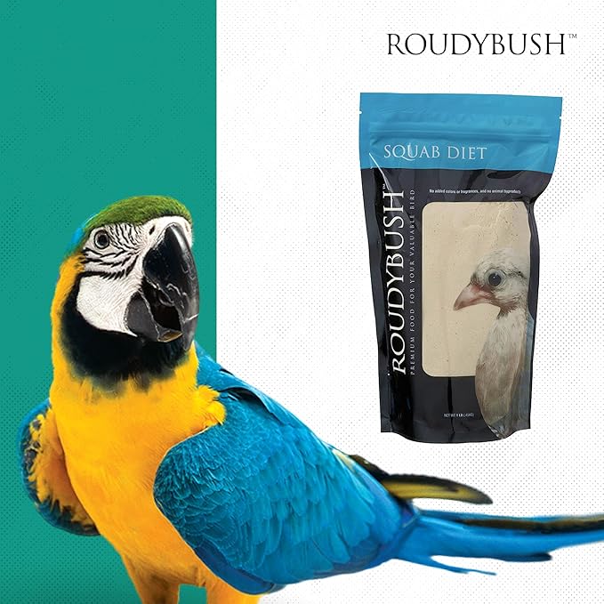 RoudyBush Squab Diet Dove & Pigeon Feed - Baby Bird Food for Columbiformes - Crop Milk Replacement Dove & Pigeon Food Mix - Chick Enrichment for Birds 7-14 Days (1lb)