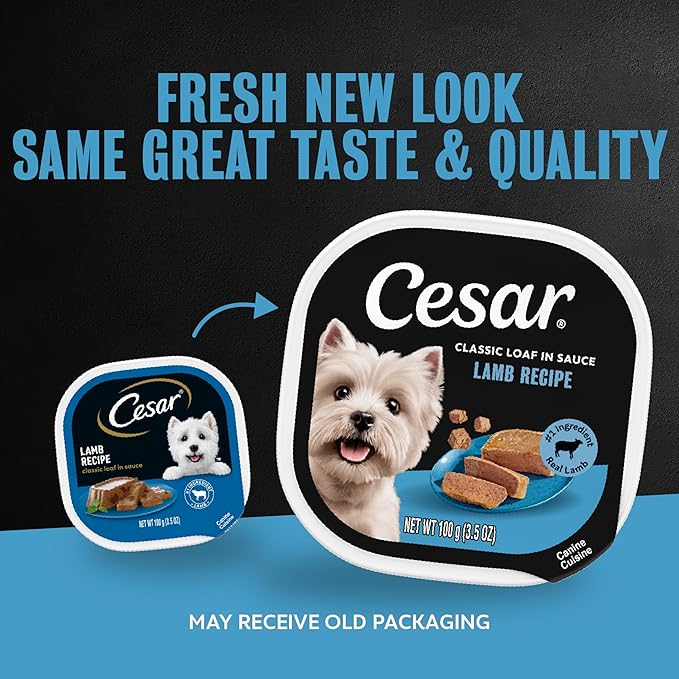 Cesar Classic Loaf in Sauce Adult Wet Dog Food Lamb Recipe, 3.5 oz. Easy Peel Trays, 24 Count (Pack of 1)