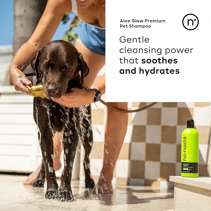 Nonaste Aloe Glow Premium Dog Shampoo (16 Oz, Pack of 1) – Deep-Clean & Odor-Neutralizing Dog Wash with USDA Certified Organic Aloe & Oatmeal | for Sensitive Skin, Soft Shiny Coat, Light Fresh Scent