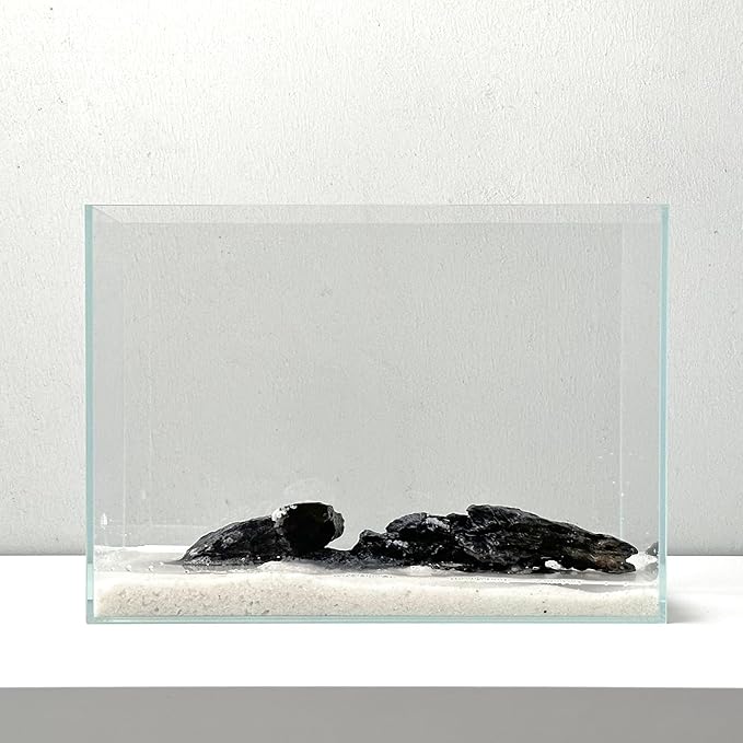 Nano Aquarium Kit 2.2 Gallon, Rimless Glass Betta Fish Tank with Filter & LED Light, 12" x 6" x 8" Small Desktop Fish Tank for Home Office (Transparent, Complete)