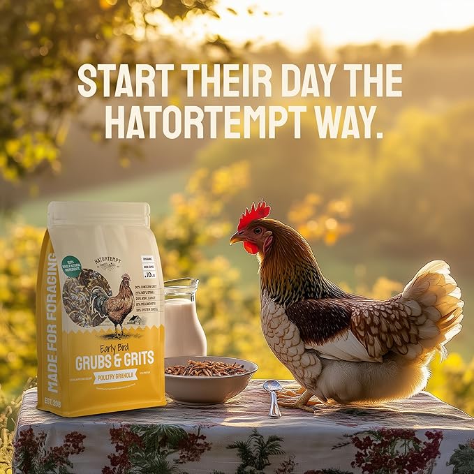 Hatortempt Chicken Feed Supplement - High-Protein Foraging Mix - Poultry Treats for Chickens - Calcium-Rich Poultry Grit for Shell Support - Dried Mealworms & Grubs for Enrichment - Bird Food (5lb)