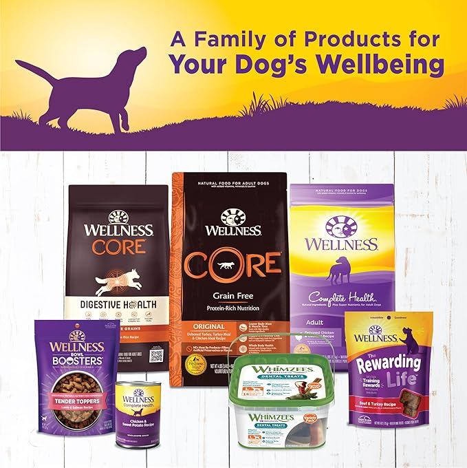 Wellness Complete Health Pate Adult Canned Wet Dog Food, Wholesome Grains, Natural, Chicken and Sweet Potato, 12.5 oz, Pack of 12 Cans