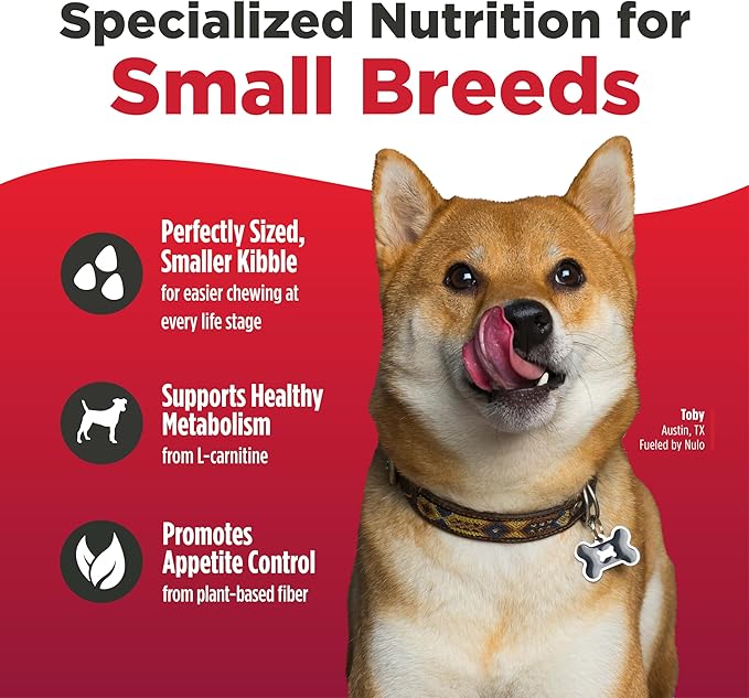 Nulo FreeStyle Small Breed Dog Food Dry - Salmon & Lentils, Puppy & Adult Grain Free Dog Food, Natural, High Protein, Smaller Sized Kibble with BC30 Probiotic for Healthy Digestion Support, 6lb
