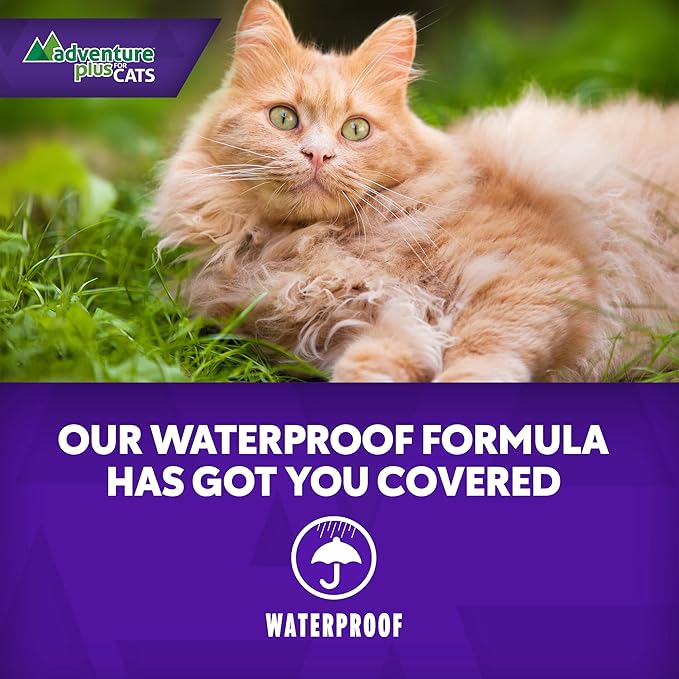 Adventure Plus Triple Flea Protection for Cats – Spot on Flea & Tick Prevention for Cats 9lbs & over – 4 Doses