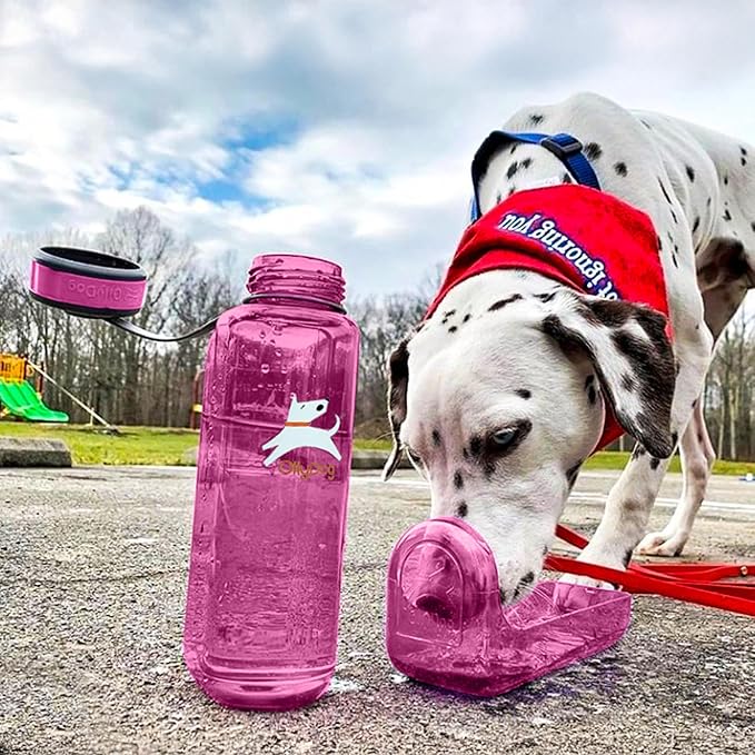 OllyDog OllyBottle | Tritan Dog Water Bottle with Detachable Bowl | BPA Free Leakproof Pet Dispenser | Hiking Travel (1L, Hot Pink)