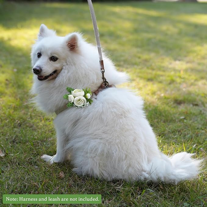 Pet Collar Flower Dog Wedding Flower Bow Tie Removable Floral Accessory for Dog Collar Elegant Rose Charm for Wedding Ceremony Puppies Cats Grooming, Pet Photo Prop (White)