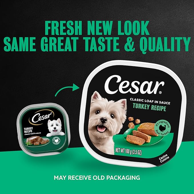 Cesar Classic Loaf in Sauce Adult Wet Dog Food Turkey Recipe, 3.5 oz. Easy Peel Trays, 24 Count (Pack of 1)