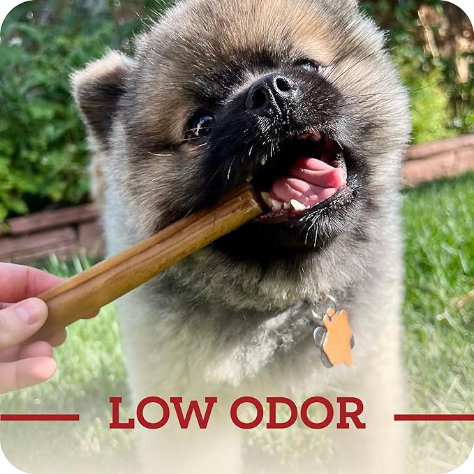 Redbarn Pet Products Natural Small Collagen Sticks for Dogs - Long Lasting Alternative to Traditional Rawhide & Bully - Supports Joint, Skin, & Coat Health - Case of 25