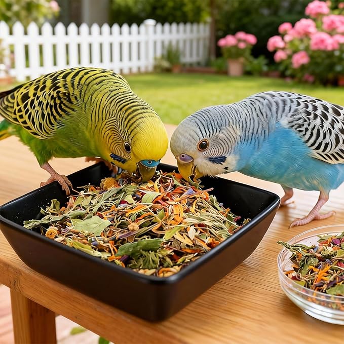 Abizoo Cockatiel & Conure Bird Foods Treats Seed Supplement for Love Birds Quaker Parrot Parakeets Digestive Health & Feather Support with Chia Flax Seeds Calendula Natural Comida para Pajaritos