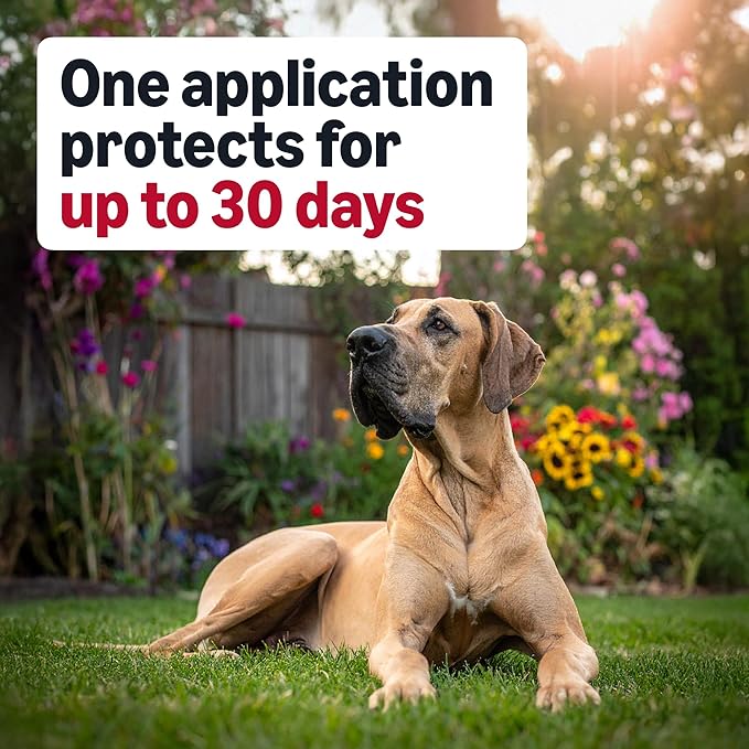 Amazon Basics Preventative Flea and Tick Topical Treatment for Dogs, X-Large (89-132 lbs), Fast Acting and Long Lasting, 3 Counts, Packaging May Vary