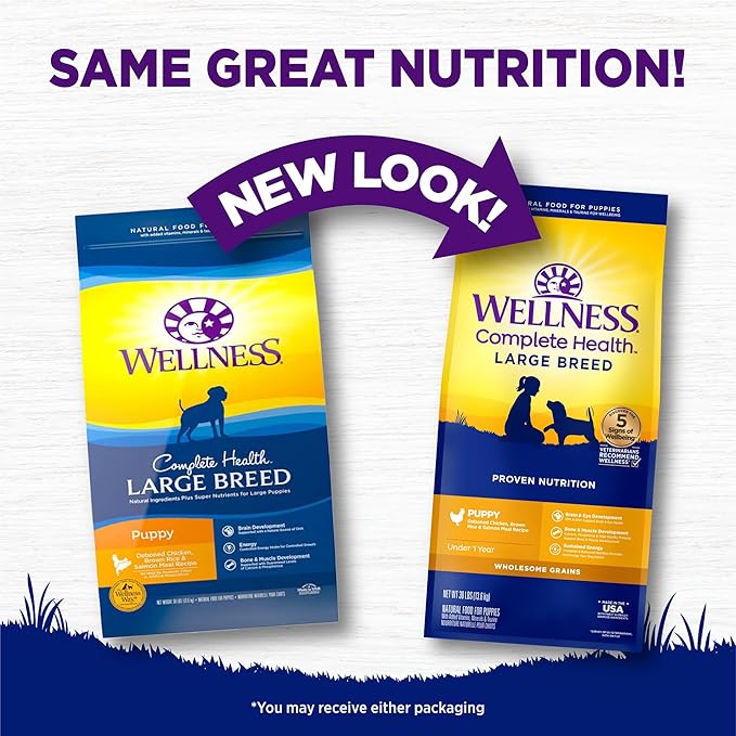Wellness Complete Health Large Breed Adult Dry Dog Food, Wholesome Grain Kibble, Natural, Chicken, Brown Rice and Salmon Meal Recipe, 30 lb Bag