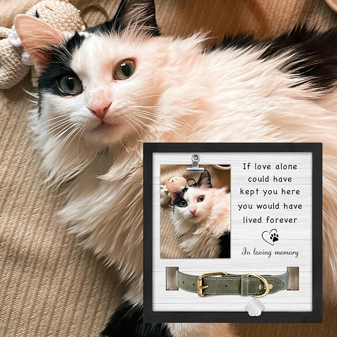 Pet Loss Sympathy Gift, Memorial Gifts for Loss of Dog, Pet Memorial Frame with Collar Holder, Cat Memorial Gift, in Loving Memory