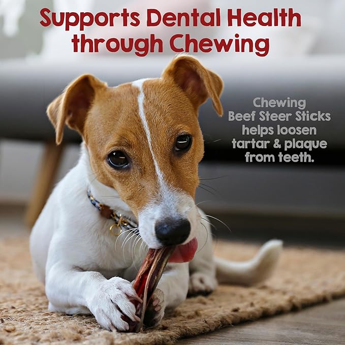 Riley's Steer Bully Sticks for Tiny to Small Dogs - Odor Free Single Ingredient Chew Treat - Easily Digestible, 100% Beef Pizzle Sticks for Dogs - 4-6", 10ct (Pack of 2)