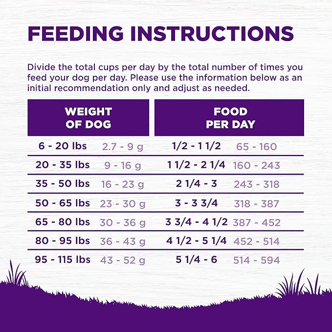 Wellness Complete Health Sensitive Skin and Stomach Dry Dog Food, Wholesome Grain Kibble, Natural, Chicken Free, Salmon and Rice Recipe, 38 lb Bag