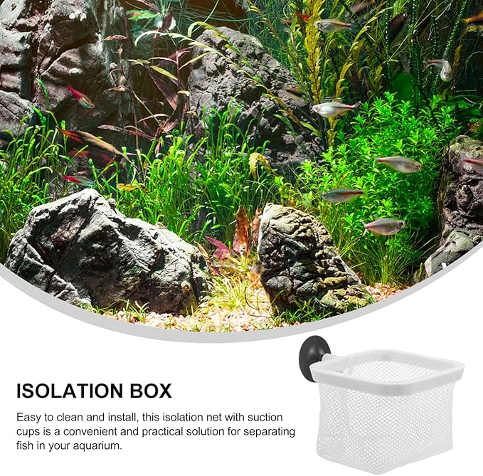 Totority Fish Tank Breeder Net with Suction Cups Durable Isolation Box for Shrimp and Betta Fish Easy Installation and Cleaning Spawning and Protection of Newborns