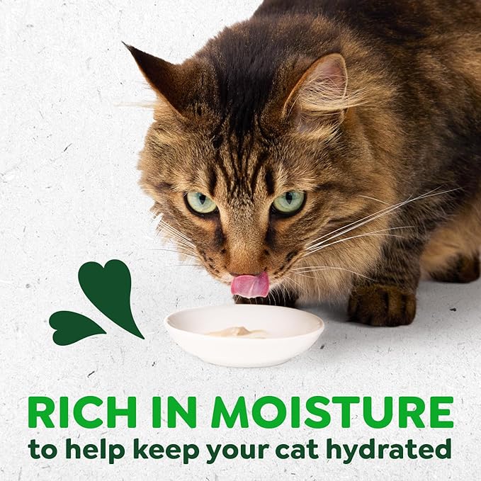 Greenies Feline Smart Purees Skin & Fur Health Lickable Cat Treats with Real Salmon, 0.49 oz. Tubes, 20 Count