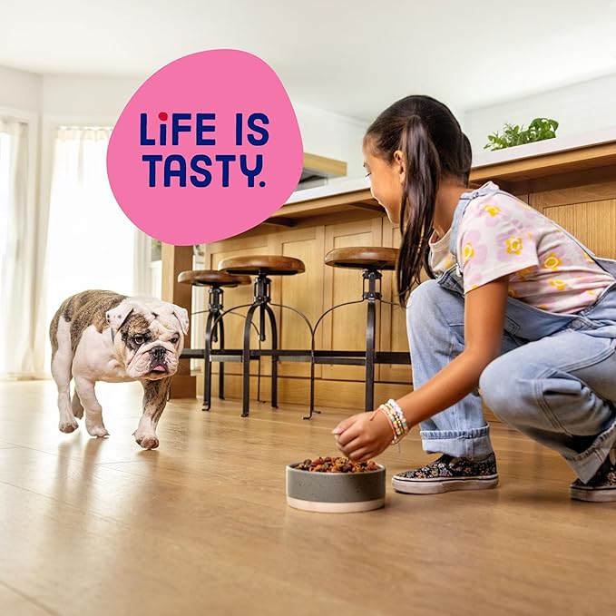 Kibbles 'n Bits Bistro Mini Bits Small Breed Dry Dog Food, Oven Roasted Beef, Spring Vegetable and Apple Flavors for Adult Dogs, 3.5 lb. Bag, 4 count
