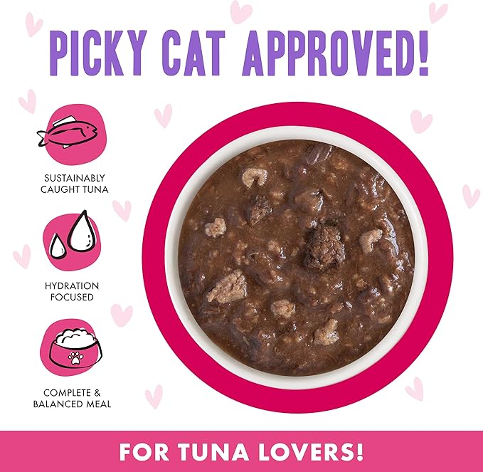 Weruva B.F.F. OMG - Best Feline Friend Oh My Gravy!, Tuna & Duck Dilly Dally with Tuna & Duck, 2.8oz Can (Pack of 12)