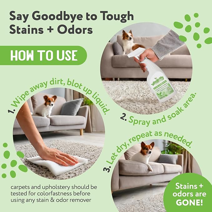 Wee Away X2 Ultra-Concentrated Stain & Strong Odor Eliminator, Enzyme Cleaner, Pet Odor Eliminator for Home - Dog Urine Destroyer - Carpet Cleaner Spray, Green Tea Scent, 16 fl oz