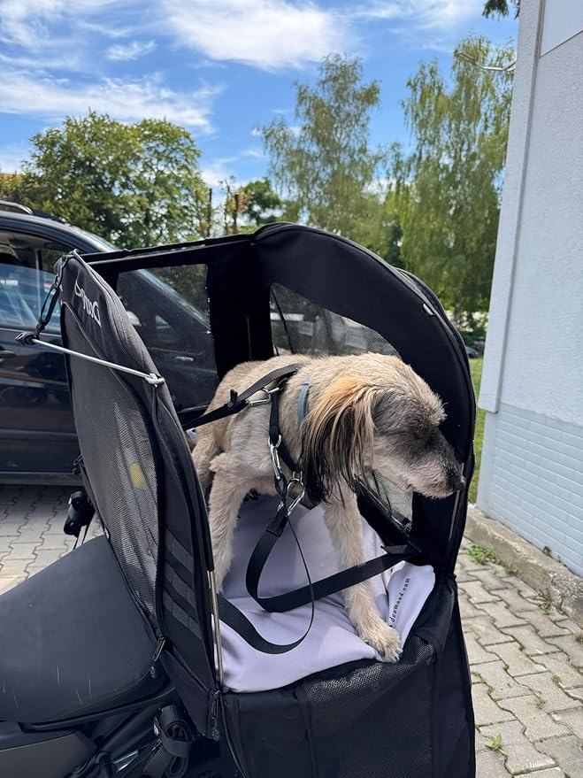 Motorcycle Dog Carrier Capsule XL - Heavy Duty Pet Travel Bag for Large Breeds up to 80 lbs - Universal Fit for Sissy Bar, Luggage Rack - Secure, All-Weather Ventilation, Car & Motorbike Use