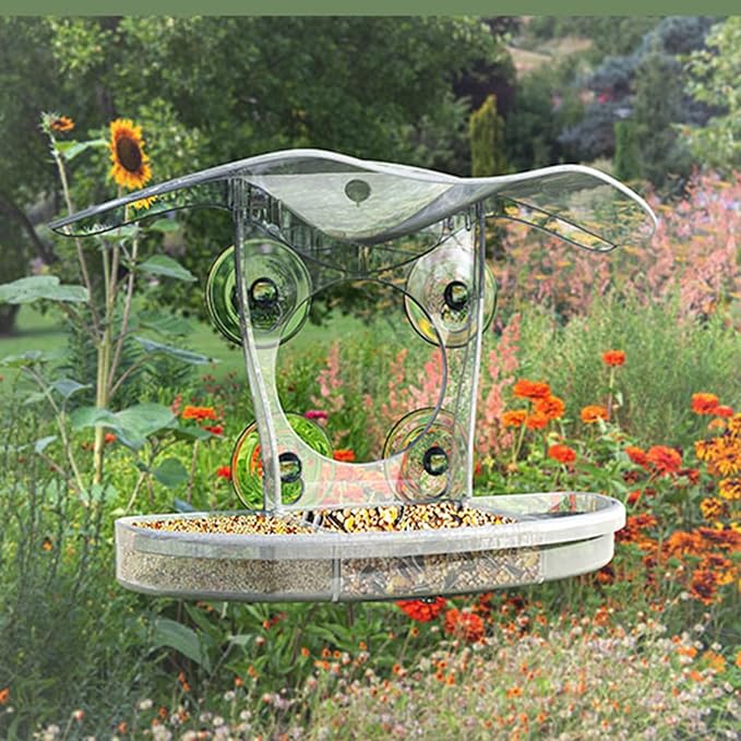 Large Capacity Bird Feeders Hygienic Feeding Bowl Water Drink for Small Feeding Transparenst Bird