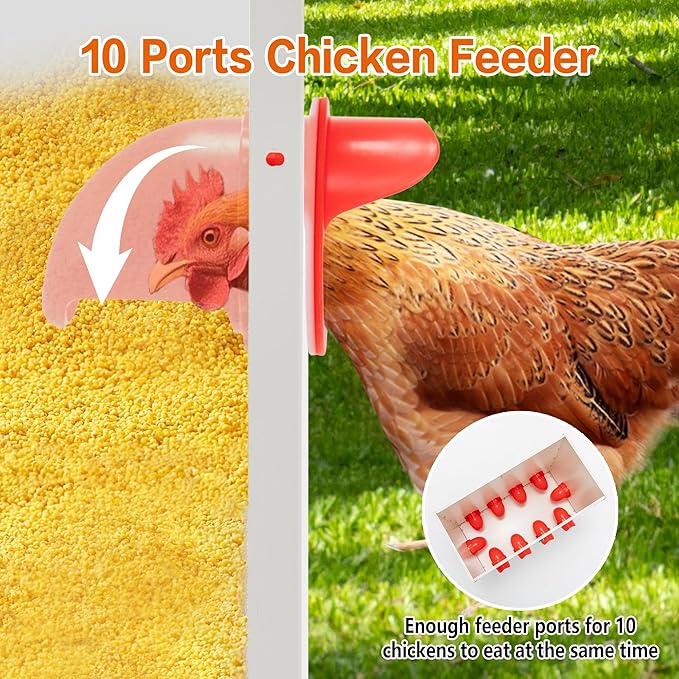 Metal Chicken Feeder Large Capacity Automatic, 10-Ports Weather-Resistant & Animal-Proof Poultry Feeder for Chickens, Geese, Ducks, Turkeys, Quails