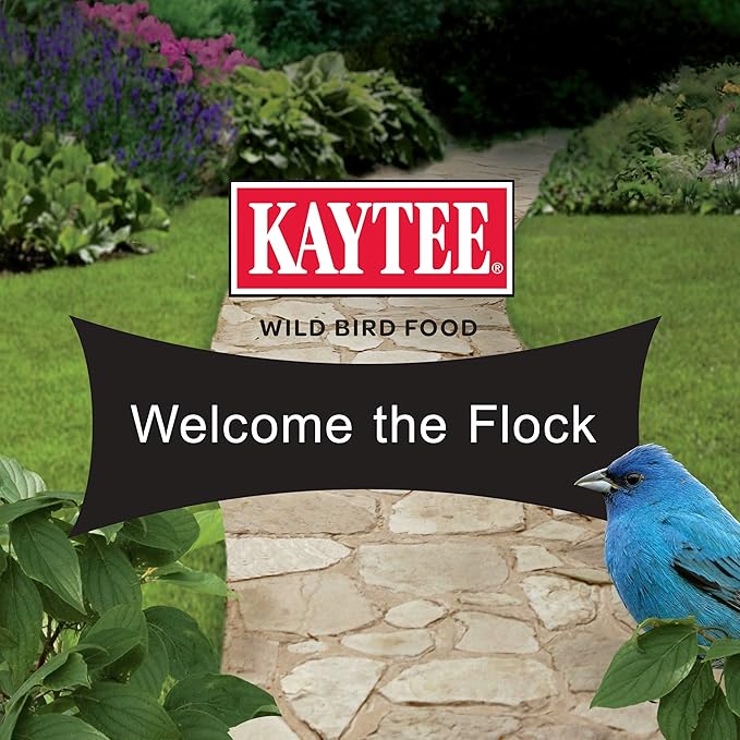 Kaytee No Mess Seed Cake, Wild Bird Food for Nuthatches, Cardinals, Finches, and Other Songbirds, 2.5 Pounds 4 Count