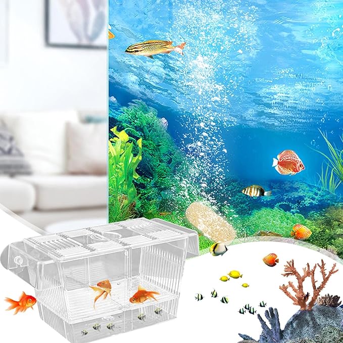 1/2 Fish Acclimation Box - Acrylic Hatchery Incubator Tank, Fish Breeder Box with 2 Suction Cups | Easily Install Breeding Isolation Box, Floating Breeding Box for Baby Fishes Shrimp Betta Guppy
