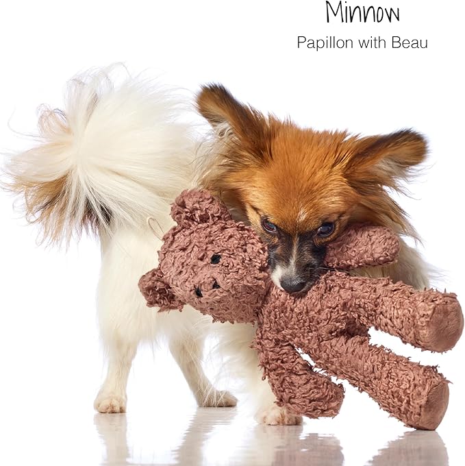 Plush Durable Cotton Dog Toys with Coconut Fill for All Pet Breeds, Bear Bunny Elephant (with Basket), One Size