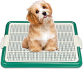 Dog Pee Pad Holder, Puppy Potty Training Tray 22.5”X16.5” for Small Dogs (Green)