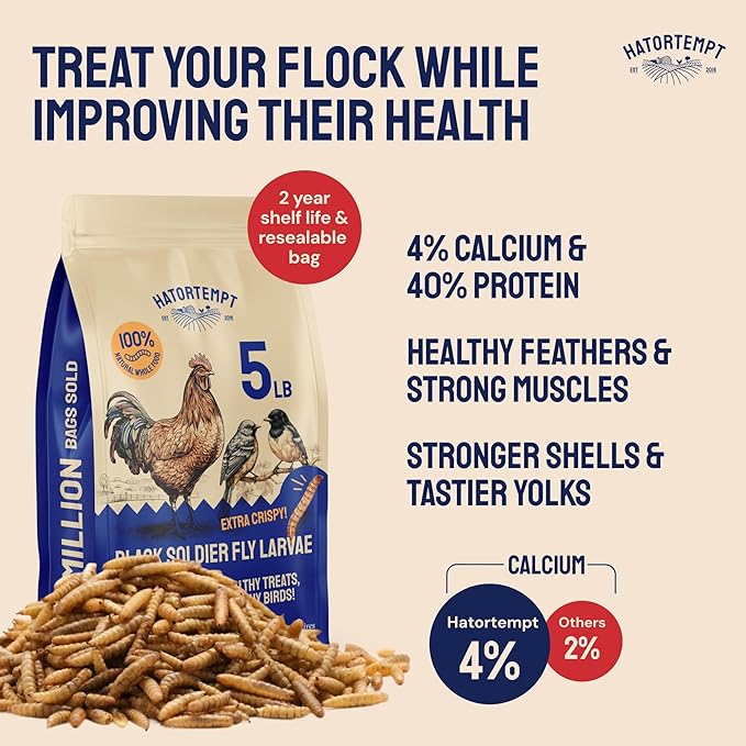 Hatortempt 5 lb Black Soldier Fly Larvae for Chickens - 4% Calcium for Stronger Shells and Better Egg Production - Organic Dried Treats for Laying Hens, Wild Birds, Ducks and Reptiles