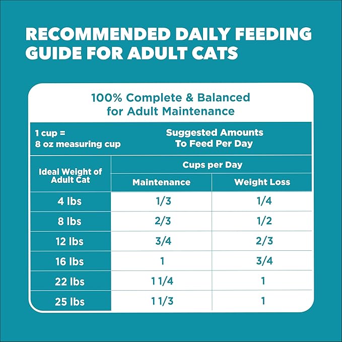 IAMS Proactive Health Dry Cat Food, Indoor Weight and Hairball Care Cat Food Dry Recipe, with Salmon, 22 lb. Bag