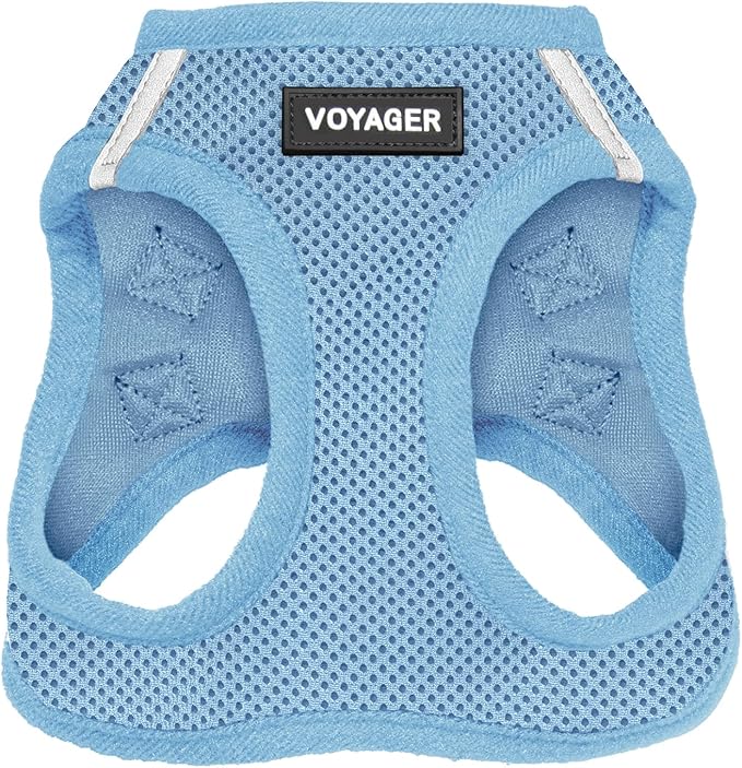 Best Pet Supplies Voyager Step-in Air Harness - All Weather Mesh, Reflective, No Pull Harness for Dogs, Cats - Secure with Hook & Loop Fastener, Buckle, Double D-Rings - Baby Blue, XXXS