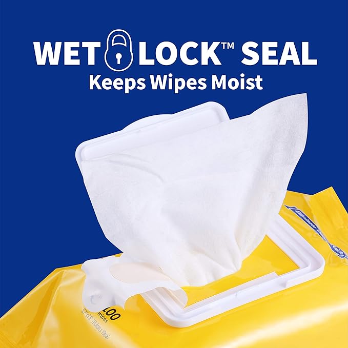 Wet Ones for Pets Deodorizing Multipurpose Dog Wipes with Baking Soda, Tropical Splash Scent - Desmellizing Wipes for Dogs with Wet Lock Seal, 100 Count - 12 Pack