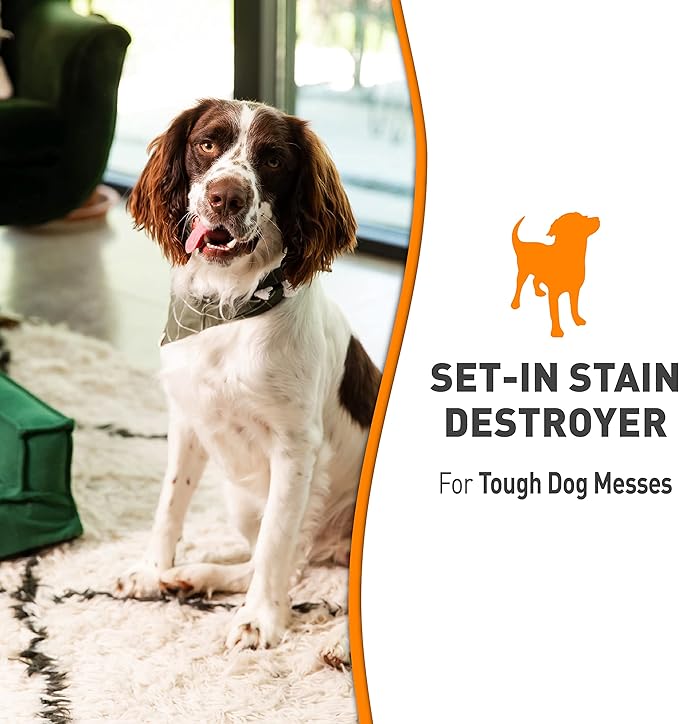 Nature’s Miracle Set-In Stain Destroyer Dog 1 Gallon, Oxy Formula With Orange Scent, 128 Ounces