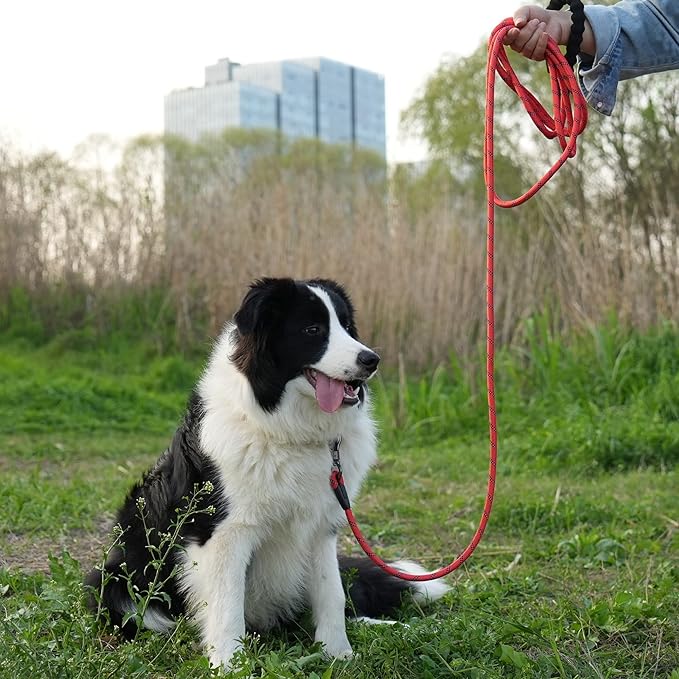 NTR Long Dog Leash, 20FT Reflective Leash with Swivel Lockable Hook and Comfortable Padded Handle, Puppy for Walking, Hunting, Camping, Backyard Small Medium Large Dogs, Red, 20ft*1/3/''