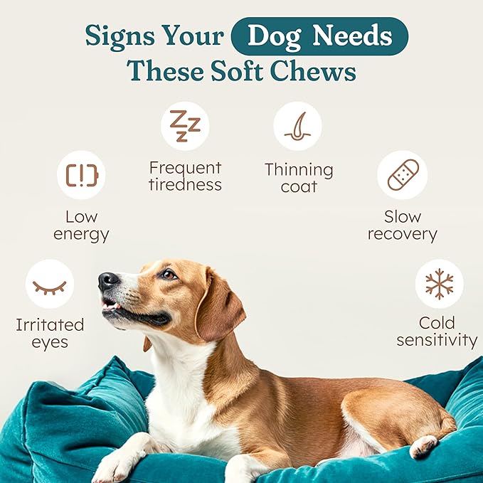 PetHeal Immune Plus Chews for Dogs - Vet-Reviewed - Supports Immunity, Energy & Liver Health with Turkey Tail, Reishi & Milk Thistle | Reduces Lumps & Promotes Shiny Coat | 30 Pork-Flavored Soft Chews