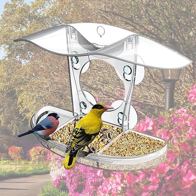 Large Capacity Bird Feeders Hygienic Feeding Bowl Water Drink for Small Feeding Transparenst Bird