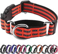 Hikiko Martingale Dog Collars Reflective Nylon Dog Collar with Quick Release Buckle Adjustable Training No Slip Dog Collar (Large, Tangerine)