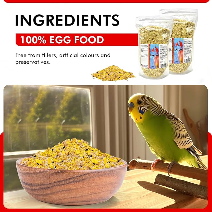 Morning Bird Eggfood 3 lbs (2-Pack, 1.5 lbs Each) – Protein-Rich Soft Food for Birds - High in Protein, Vitamins & Minerals – Supports Growth, Digestion & Feather Health – Ideal for Breeding Birds