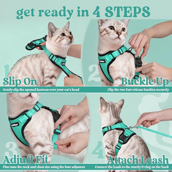rabbitgoo Cat Harness and Leash for Walking, Escape Proof Soft Adjustable Vest Harnesses for Cats, Easy Control Breathable Reflective Strips Jacket, Emerald, S