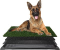 Dog Grass Pad with Tray - 35.5x23.5in Reusable Pee Pads for Dogs - 4-Layer Indoor/Outdoor Artificial Grass Pee Pad - Dog Housebreaking Supplies for Puppy Training by PETMAKER