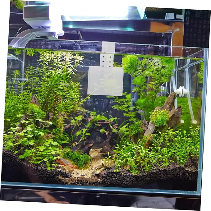 Aquatic Plant Holder Suction Cup Hanging Fish Tank Planter for Live Plants Acrylic Aquarium Planting Cup for Aquascaping and Fish Breeding